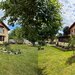 Comuna Dascalu,Jud. Ilfov,Str. Campina nr 10 la 30 km Bucuresti